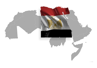 تقرير المجتمع المدني المصري - فبراير/ شباط 2021