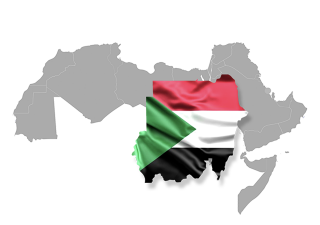 مشروع راصد الفضاء المدني السودان تقرير مايو 2021